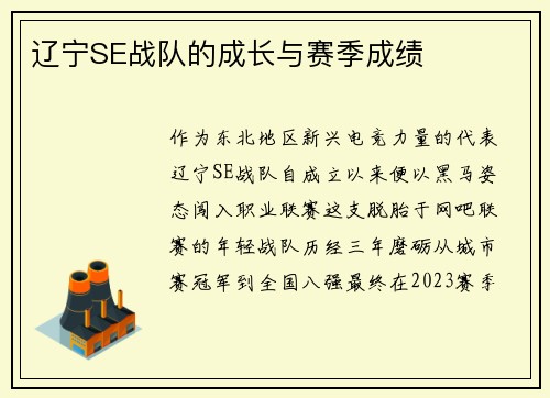 辽宁SE战队的成长与赛季成绩